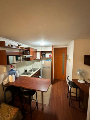 Apartamento en pleno centro de Santiago
